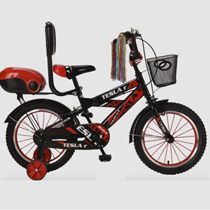 دوچرخه TESLAr آیتم LB16_102 سایز 16-اسباب بازی
